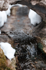 spring stream in the mountain