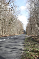 Fototapeta premium route