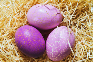 Easter eggs close-up, colored and tinted