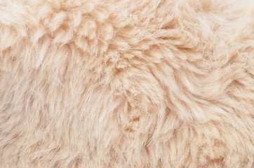 Textured synthetical fur background