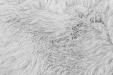 Textured synthetical fur background