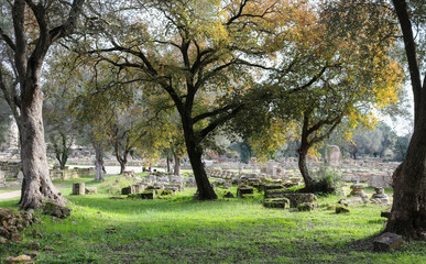 Fototapeta premium Old gnarled trees frame the ruins of ancient Olympia with pillars and blocks arranged in moss covered rows with paths for tourists to roam