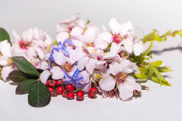 Spring flowers from trees