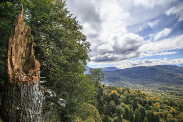 Lagonaki (Lagonak Highlands) - plateau in the Western Caucasus, at an altitude of 2200 meters
