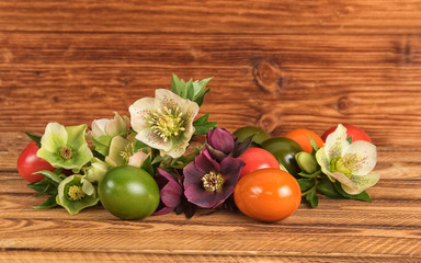 Rustic Easter still life. Easter eggs, blossoms of lenten rose Hellebore flowers on old wooden background.