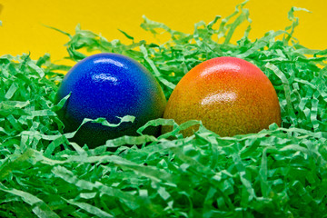 Colorful easter eggs in green easter nest