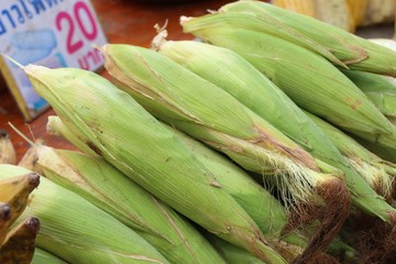 fresh corn at market