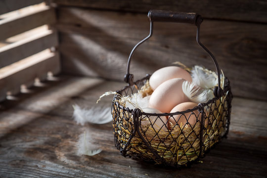 Ecological and fresh eggs from the henhouse