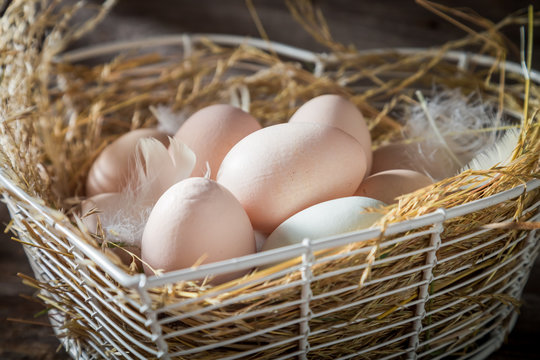 Closeup of free range eggs in the hen nest