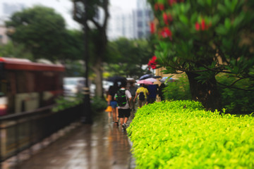 Singapore street with green trees and plants