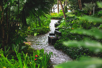 Obraz premium Singapurska ulica z zielenią i roślinami