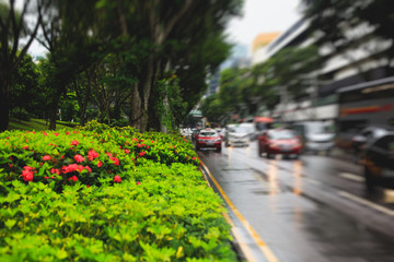 Singapore street with green trees and plants