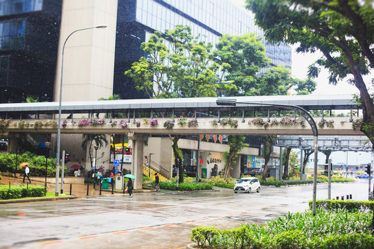 Singapore street with green trees and plants