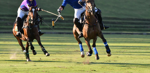 Horse Polo Player Battle