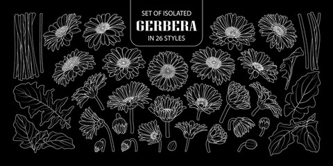 Set of isolated gerbera in 26 styles.