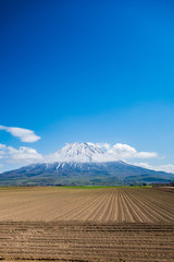 快晴の羊蹄山と畑の風景 / 北海道 倶知安町の風景