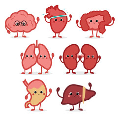 Cute smiling happy human healthy strong organs set. Vector cartoon character illustration icon design. Isolated on white background. Heart, liver, brain, stomach, lungs, kidneys,intestine organ