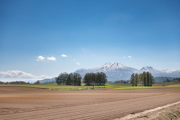 ニセコ周辺の農場 / 北海道の新鮮な野菜のイメージ