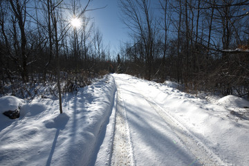 Obraz premium Road Less Taken