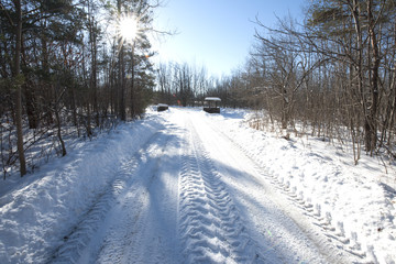 Obraz premium Road Less Taken