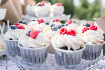 Set of different delicious tasty muffins with berries on summer background. Different dessert tartlets with cream and fresh blueberry and raspberry. Selective focus. candy bar concept