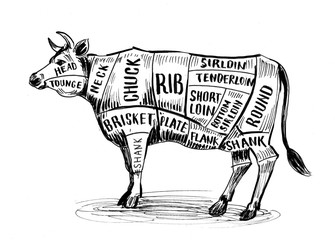 Ink black and white cow butcher's chart