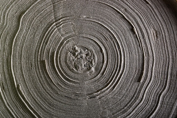 Fototapeta na wymiar Texture of a roll of single-layer toilet paper