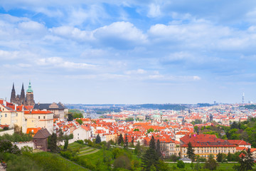 Fototapeta na wymiar Prague in summer day. St. Vitus Cathedral