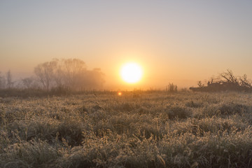 Foggy Fields at Sunrise, Australian Countryside
