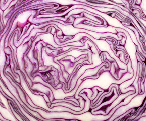 Obraz premium Red Cabbage Texture