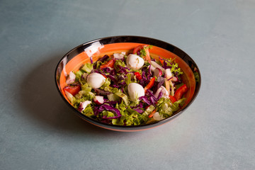 Close up of fresh salad of lettuce, radish, tomato and mozarella cheese on plate for healthy eating.Isolated on grey background