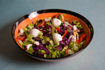 Close up of fresh salad of lettuce, radish, tomato and mozarella cheese on plate for healthy eating.Isolated on grey background
