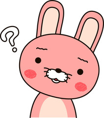 Rabbit expression Doubt