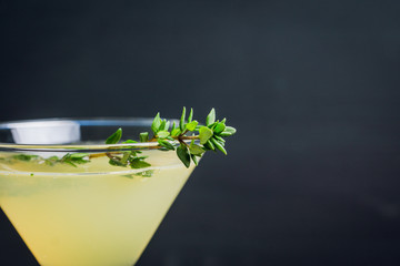 Tasty bitter cocktail with thyme in martini glass. Selective focus.