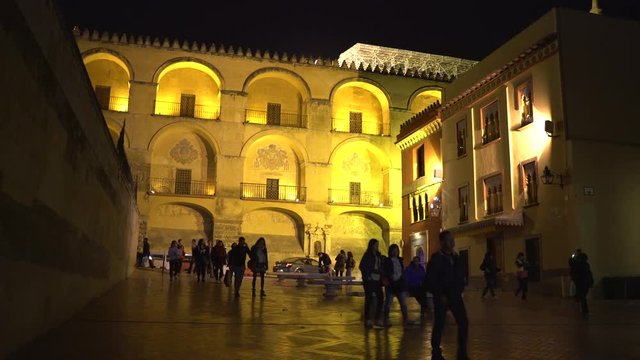 Walking in Plaza Canonigo Torres Molina at night