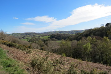 Fototapeta premium Dartmoor National Park