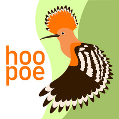 hoopoe bird head vector illustration flat style profile © wectorcolor