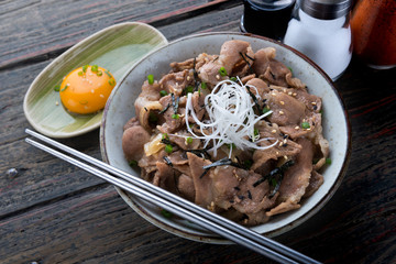Japanese beef bowl in Japanese style.