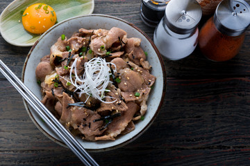 Japanese beef bowl in Japanese style.