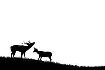 Naklejka na ściany i meble silhouette deer on meadow on white background.