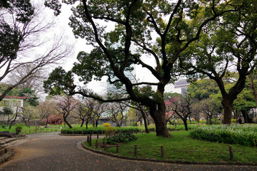 Fototapeta premium 芝公園