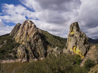 Jump of the gypsy, Tajo river, Monfrague national park, Caceres, Spain.