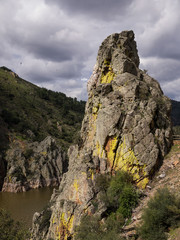 Jump of the gypsy, Tajo river, Monfrague national park, Caceres, Spain.