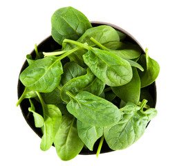Baby spinach leaves