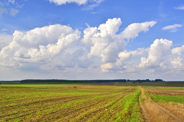 Dirt road through the fields on a blue sky with  clouds background