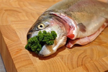 frische Lachsforelle