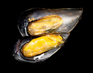 Mussels in the sink on a black background
