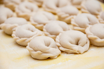 Fototapeta na wymiar Untreated only molded dumplings lie in rows on a yellow silicone board diagonally
