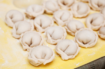Fototapeta na wymiar Untreated only molded dumplings lie in rows on a yellow silicone board diagonally