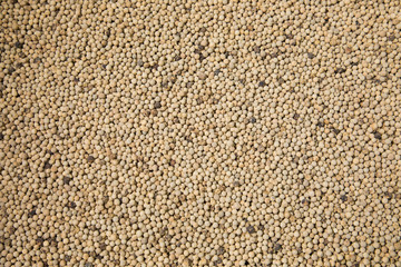 Close up white peppers texture background, top view